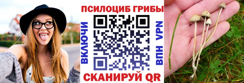 Галлюциногенные грибы прущие грибы  Петровск 