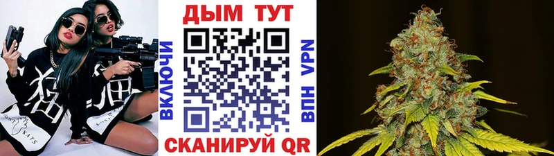 дарнет шоп  Петровск  кракен рабочий сайт  Конопля индика 